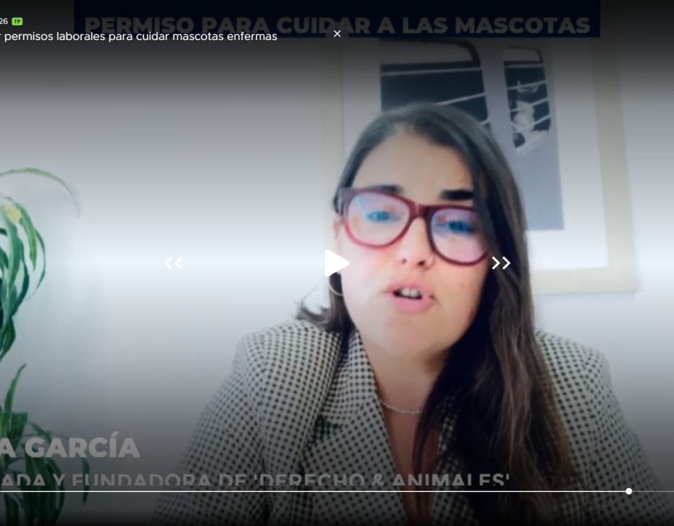 Entrevista en Telecinco: Italia estudia implantar permisos laborales para cuidar mascotas enfermas